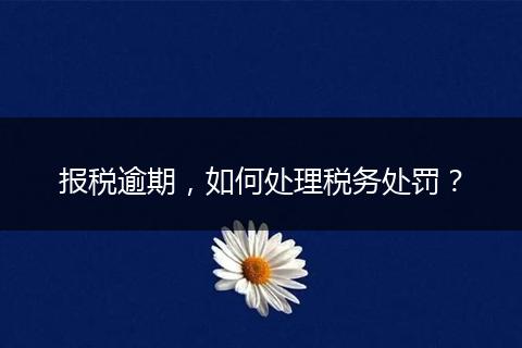 報(bào)稅逾期，如何處理稅務(wù)處罰？