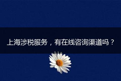 上海涉稅服務(wù)，有在線咨詢渠道嗎？