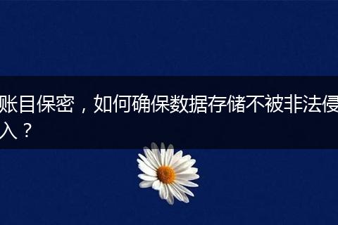 賬目保密，如何確保數(shù)據(jù)存儲(chǔ)不被非法侵入？