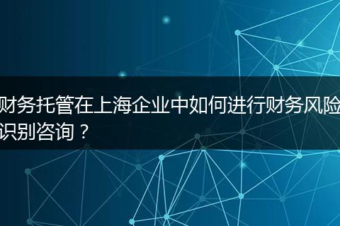 財務(wù)托管在上海企業(yè)中如何進行財務(wù)風險識別咨詢？