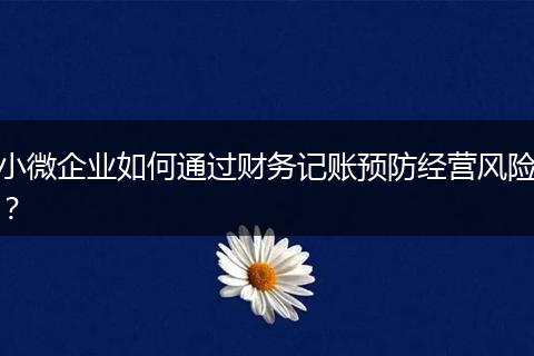 小微企業(yè)如何通過(guò)財(cái)務(wù)記賬預(yù)防經(jīng)營(yíng)風(fēng)險(xiǎn)？