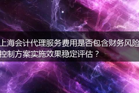 上海會(huì)計(jì)代理服務(wù)費(fèi)用是否包含財(cái)務(wù)風(fēng)險(xiǎn)控制方案實(shí)施效果穩(wěn)定評(píng)估？