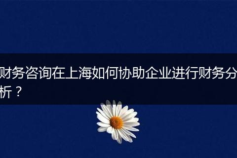 財務(wù)咨詢在上海如何協(xié)助企業(yè)進行財務(wù)分析？