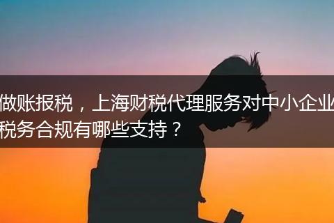 做賬報稅，上海財稅代理服務(wù)對中小企業(yè)稅務(wù)合規(guī)有哪些支持？