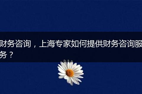 財(cái)務(wù)咨詢，上海專家如何提供財(cái)務(wù)咨詢服務(wù)？