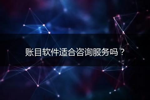 賬目軟件適合咨詢服務(wù)嗎？