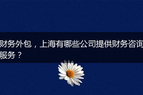 財務外包，上海有哪些公司提供財務咨詢服務？