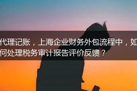 代理記賬，上海企業(yè)財(cái)務(wù)外包流程中，如何處理稅務(wù)審計(jì)報(bào)告評(píng)價(jià)反饋？