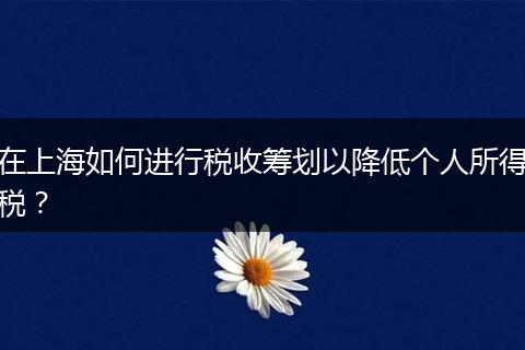 在上海如何進(jìn)行稅收籌劃以降低個(gè)人所得稅？