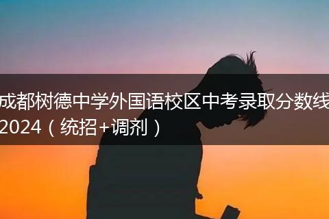 成都樹德中學(xué)外國語校區(qū)中考錄取分?jǐn)?shù)線2024（統(tǒng)招+調(diào)劑）