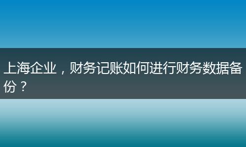 上海企業(yè)，財(cái)務(wù)記賬如何進(jìn)行財(cái)務(wù)數(shù)據(jù)備份？