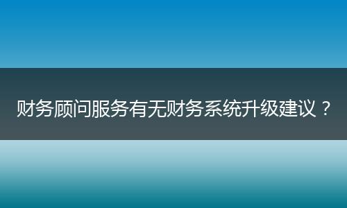 財(cái)務(wù)顧問服務(wù)有無(wú)財(cái)務(wù)系統(tǒng)升級(jí)建議？