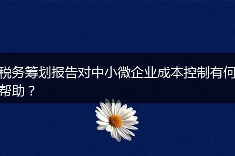 稅務(wù)籌劃報(bào)告對(duì)中小微企業(yè)成本控制有何幫助？
