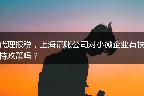 代理報稅，上海記賬公司對小微企業(yè)有扶持政策嗎？