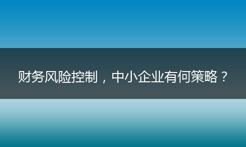 財務(wù)風(fēng)險控制，中小企業(yè)有何策略？