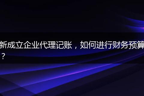 新成立企業(yè)代理記賬，如何進(jìn)行財(cái)務(wù)預(yù)算？