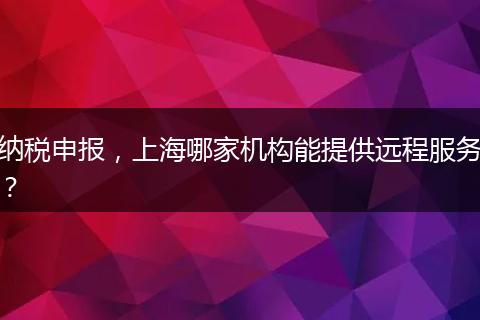 納稅申報(bào)，上海哪家機(jī)構(gòu)能提供遠(yuǎn)程服務(wù)？