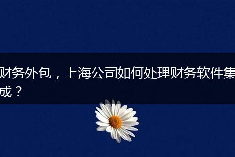 財務外包，上海公司如何處理財務軟件集成？