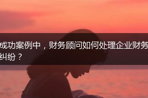 成功案例中，財(cái)務(wù)顧問如何處理企業(yè)財(cái)務(wù)糾紛？