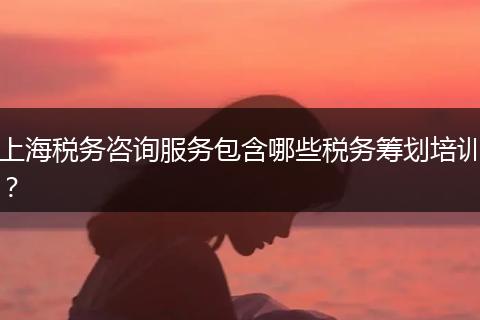 上海稅務咨詢服務包含哪些稅務籌劃培訓？