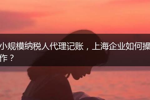 小規(guī)模納稅人代理記賬，上海企業(yè)如何操作？