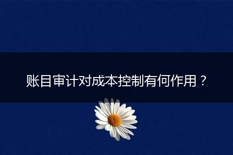 賬目審計對成本控制有何作用？