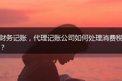 財(cái)務(wù)記賬，代理記賬公司如何處理消費(fèi)稅？