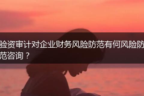 驗(yàn)資審計(jì)對(duì)企業(yè)財(cái)務(wù)風(fēng)險(xiǎn)防范有何風(fēng)險(xiǎn)防范咨詢？