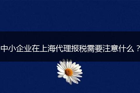 中小企業(yè)在上海代理報(bào)稅需要注意什么？