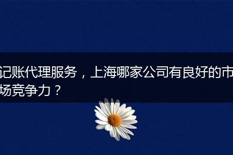 記賬代理服務(wù)，上海哪家公司有良好的市場競爭力？
