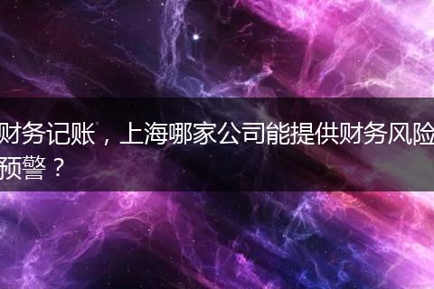 財(cái)務(wù)記賬，上海哪家公司能提供財(cái)務(wù)風(fēng)險(xiǎn)預(yù)警？