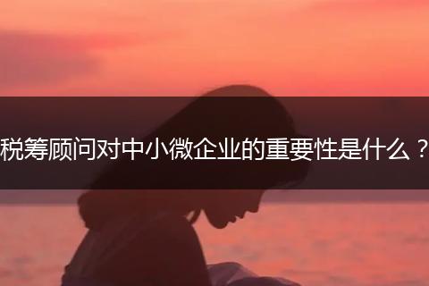 稅籌顧問(wèn)對(duì)中小微企業(yè)的重要性是什么？