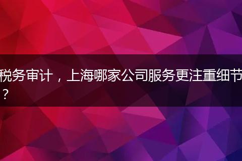 稅務(wù)審計，上海哪家公司服務(wù)更注重細節(jié)？