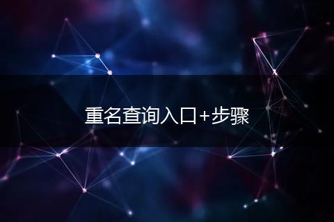 重名查詢入口+步驟
