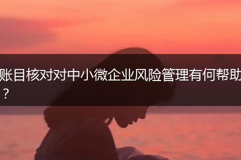 賬目核對對中小微企業(yè)風險管理有何幫助？