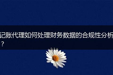 記賬代理如何處理財(cái)務(wù)數(shù)據(jù)的合規(guī)性分析？