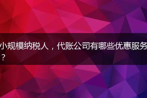 小規(guī)模納稅人，代賬公司有哪些優(yōu)惠服務(wù)？