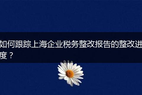 如何跟蹤上海企業(yè)稅務(wù)整改報(bào)告的整改進(jìn)度？
