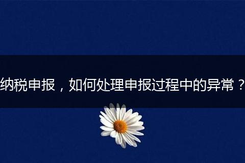 納稅申報，如何處理申報過程中的異常？
