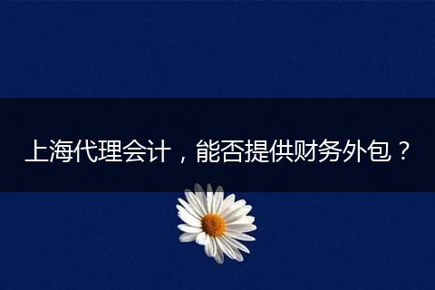 上海代理會(huì)計(jì)，能否提供財(cái)務(wù)外包？