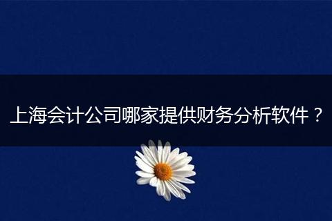 上海會計公司哪家提供財務(wù)分析軟件？