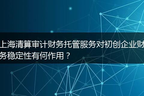上海清算審計(jì)財(cái)務(wù)托管服務(wù)對(duì)初創(chuàng)企業(yè)財(cái)務(wù)穩(wěn)定性有何作用？