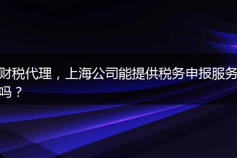 財稅代理，上海公司能提供稅務申報服務嗎？