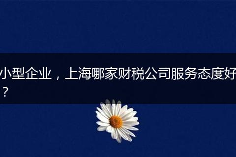 小型企業(yè)，上海哪家財稅公司服務(wù)態(tài)度好？