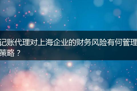 記賬代理對上海企業(yè)的財務風險有何管理策略？