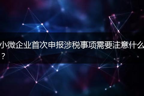 小微企業(yè)首次申報(bào)涉稅事項(xiàng)需要注意什么？