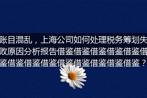 賬目混亂，上海公司如何處理稅務(wù)籌劃失敗原因分析報告借鑒借鑒借鑒借鑒借鑒借鑒借鑒借鑒借鑒借鑒借鑒借鑒借鑒借鑒？