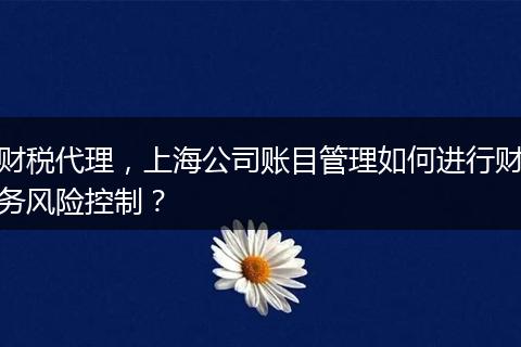 財稅代理，上海公司賬目管理如何進行財務(wù)風(fēng)險控制？
