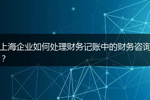 上海企業(yè)如何處理財(cái)務(wù)記賬中的財(cái)務(wù)咨詢？