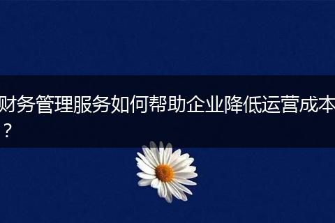 財(cái)務(wù)管理服務(wù)如何幫助企業(yè)降低運(yùn)營成本？